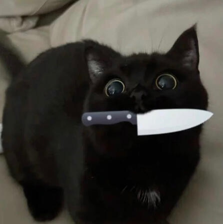 Adults - Cat